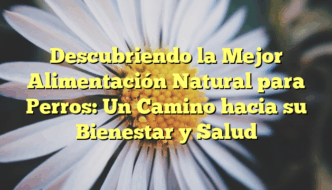 Descubriendo la Mejor Alimentación Natural para Perros: Un Camino hacia su Bienestar y Salud