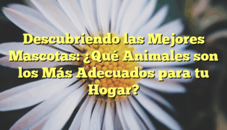 Descubriendo las Mejores Mascotas: ¿Qué Animales son los Más Adecuados para tu Hogar?