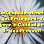 Descubriendo los Beneficios: ¿Cómo un Perro puede Ayudar y Mejorar la Calidad de Vida de una Persona?
