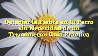 Detectar la Fiebre en tu Perro sin Necesidad de un Termómetro: Guía Práctica