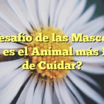 El Desafío de las Mascotas: ¿Cuál es el Animal más Difícil de Cuidar?