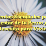 Elementos Esenciales para el Bienestar de tu Perro: ¿Qué Necesita para Vivir?