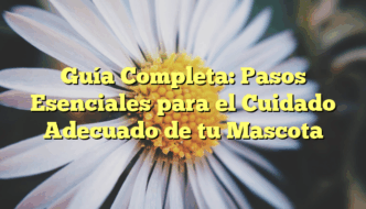 Guía Completa: Pasos Esenciales para el Cuidado Adecuado de tu Mascota