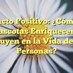 Impacto Positivo: ¿Cómo las Mascotas Enriquecen e Influyen en la Vida de las Personas?