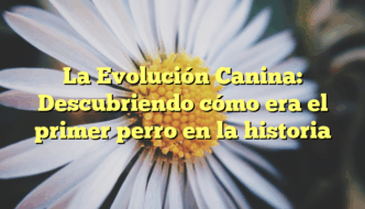 La Evolución Canina: Descubriendo cómo era el primer perro en la historia