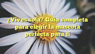 ¿Vives sola? Guía completa para elegir la mascota perfecta para ti