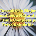 Descubre la Mejor Alimentación Natural para Perros: Guía Completa para un Perro Saludable