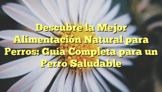 Descubre la Mejor Alimentación Natural para Perros: Guía Completa para un Perro Saludable