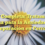 Guía Completa: Tratamiento Eficaz para la Ansiedad por Separación en Perros