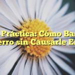 Guía Práctica: Cómo Bañar a tu Perro sin Causarle Estrés