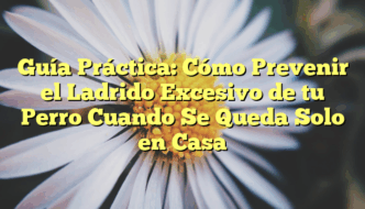 Guía Práctica: Cómo Prevenir el Ladrido Excesivo de tu Perro Cuando Se Queda Solo en Casa