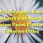 Guía Práctica para Enseñar a tu Cachorro a no Morder los Zapatos: Pasos Efectivos y Consejos Útiles