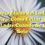 Manejo Eficaz del Ladrido Excesivo: Cómo Evitar que Tu Perro Ladre Cuando Se Queda Solo