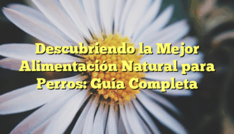 Descubriendo la Mejor Alimentación Natural para Perros: Guía Completa