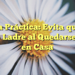 Guía Práctica: Evita que tu Perro Ladre al Quedarse Solo en Casa