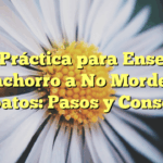 Guía Práctica para Enseñar a tu Cachorro a No Morder los Zapatos: Pasos y Consejos