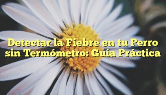 Detectar la Fiebre en tu Perro sin Termómetro: Guía Práctica