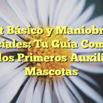 Kit Básico y Maniobras Esenciales: Tu Guía Completa para los Primeros Auxilios en Mascotas