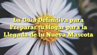 La Guía Definitiva para Preparar tu Hogar para la Llegada de tu Nueva Mascota